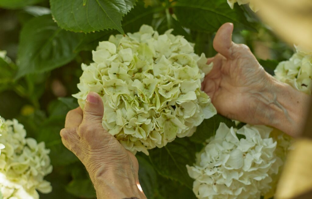 dementia hands